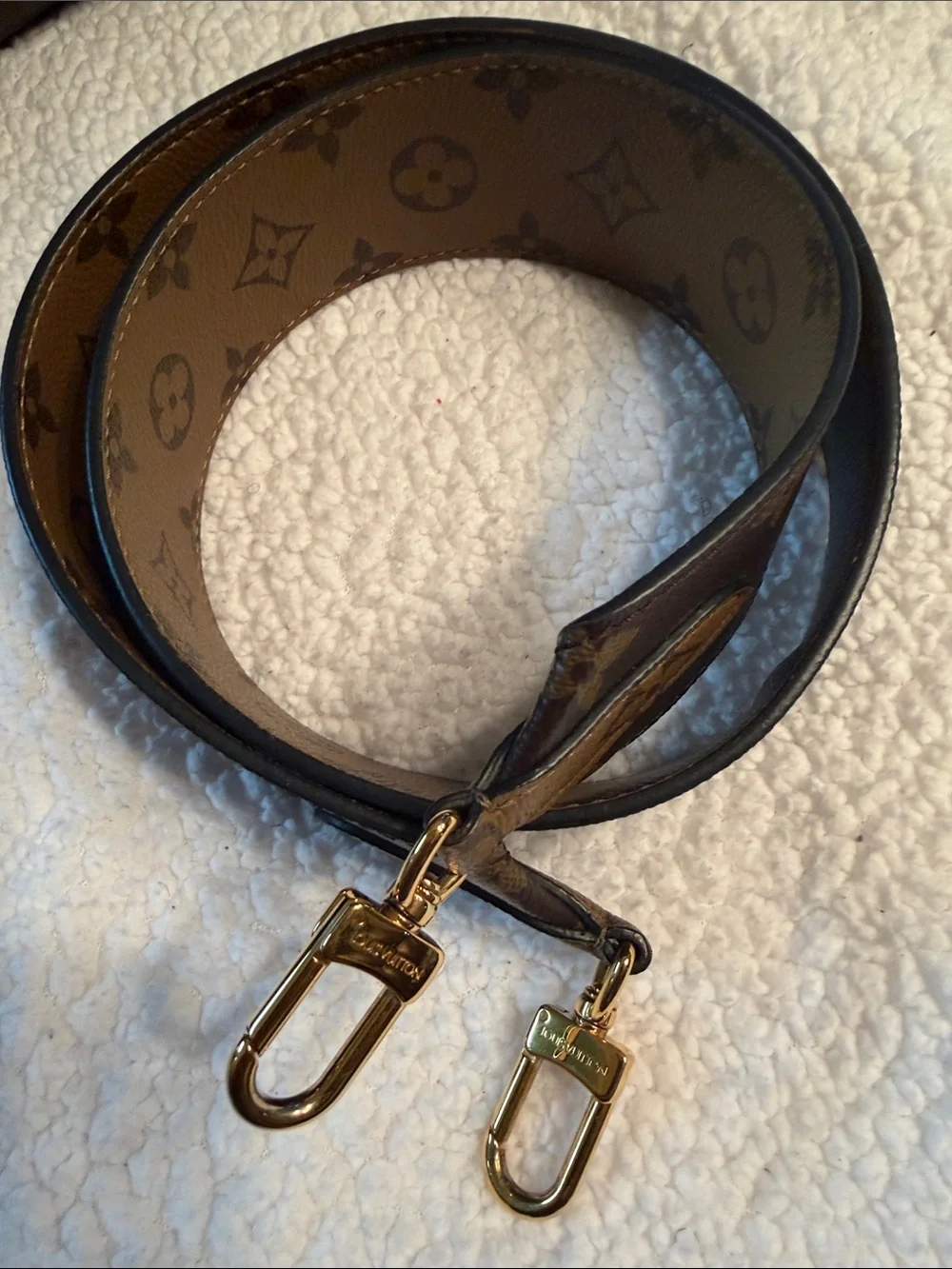 Louis Vuitton authentic louis